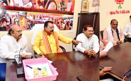 अबकी बार 400 पार लक्ष्य पाने का आव्हान:उपाध्याय