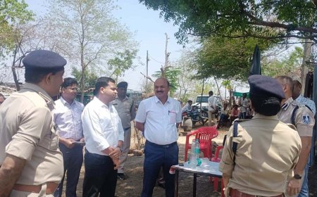 कलेक्टर श्री राजेश बाथम ने बांसवाड़ा एवं चित्तौड़गढ़ जिलो से लगी सीमा पर चेक पोस्ट निरीक्षण किया