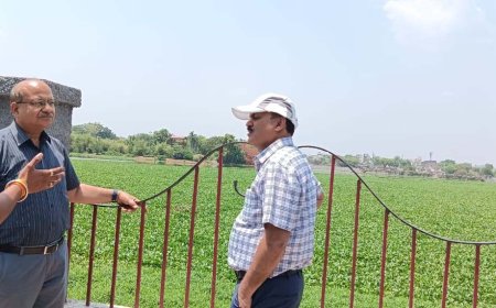 कलेक्टर श्री बाथम ने नाले तथा तालाबों का निरीक्षण किया