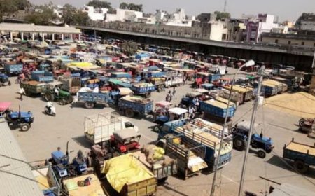 नई अनाज मंडी की कवायद शुरू : कैबिनेट मंत्री चेतन्य काश्यप के प्रस्ताव पर मथूरी में मंडी के लिए भूमि आवंटन की प्रक्रिया के आवेदन को मिली स्वीकृति