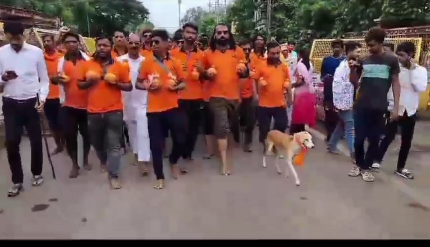 श्वान की शिव भक्ति देख हर कोई हैरान : कावड़ियों के साथ 100 किमी चलकर “भोला” पहुंचा उज्जैन महाकाल मंदिर
