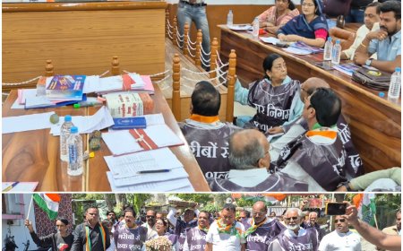 सड़क पर बैठकर,गाड़ी लगाकर व्यापार करने वाले फुटकर व्यापारियों पर टैक्स लगाने के विरोध में कांग्रेस का प्रदर्शन   : पार्षद दल ने परिषद में दिया धरना