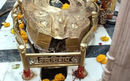 श्री केदारेश्वर महादेव मंदिर की जलाधारी से छेड़छाड़ के आरोपियों की शीघ्र गिरफ्तारी के लिए सनातन महासभा कल पुलिस अधीक्षक को सौंपेगी ज्ञापन