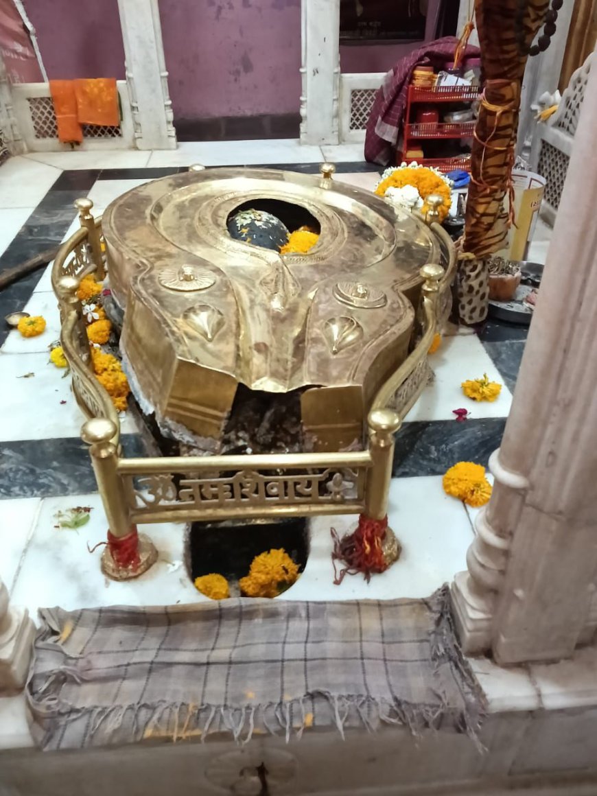 श्री केदारेश्वर महादेव मंदिर की जलाधारी से छेड़छाड़ के आरोपियों की शीघ्र गिरफ्तारी के लिए सनातन महासभा कल पुलिस अधीक्षक को सौंपेगी ज्ञापन