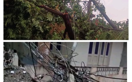आंधी तूफान के साथ हुई आफत की बारिश : आकाशीय बिजली गिरने से तीन लोगो कि मौत : दर्जनों पेड़ और बिजली के पोल धराशाही