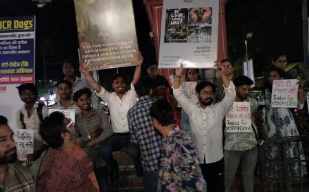 सर्वोच्च न्यायालय के दिल्ली-एनसीआर में आवारा कुत्तों को हटाने के आदेश पर पुनर्विचार की अपील : सी. ए. एन.हेल्पिंग फाउंडेशन ने किया प्रदर्शन