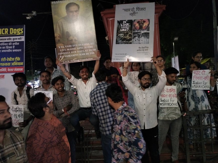 सर्वोच्च न्यायालय के दिल्ली-एनसीआर में आवारा कुत्तों को हटाने के आदेश पर पुनर्विचार की अपील : सी. ए. एन.हेल्पिंग फाउंडेशन ने किया प्रदर्शन