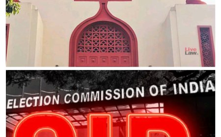 SIR से मतदाता सूची के पुनरीक्षण संविधान के विपरीत  : पूर्व पार्षद दिलीप कौशल की याचिका पर हाईकोर्ट में 26 नवंबर को होगी अहम सुनवाई