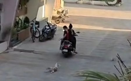 रतलाम शर्मसार : मासूम पिल्ले को सड़क पर घसीटती रहीं महिलाएं : वीडियो वायरल : दो महिलाओं पर मामला दर्ज