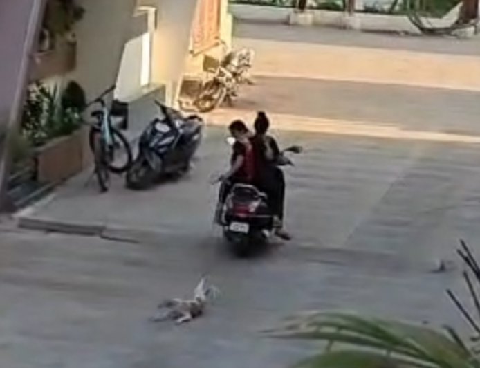 रतलाम शर्मसार : मासूम पिल्ले को सड़क पर घसीटती रहीं महिलाएं : वीडियो वायरल : दो महिलाओं पर मामला दर्ज