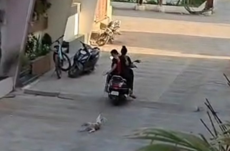 रतलाम शर्मसार : मासूम पिल्ले को सड़क पर घसीटती रहीं महिलाएं : वीडियो वायरल : दो महिलाओं पर मामला दर्ज