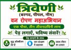 46.5° की तपिश से सबक : रतलाम में चलेगा 'त्रिवेणी वन रोपण महाअभियान' : बरगद-पीपल-नीम से गढ़ेंगे शीतल भविष्य