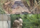इप्का गेस्ट हाउस के पीछे मिला अज्ञात व्यक्ति का शव : 3 दिन पुराना बताया जा रहा शव, पहचान नहीं होने से मौत का कारण भी रहस्य : जांच में जुटी पुलिस