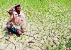 अलनीनो की मार : अलनीनो के प्रभाव से जिले में अल्पवर्षा और सूखे जैसी स्थिति बनने की आशंका : केंद्र ने रतलाम को अलनीनो प्रभावित जिला किया घोषित
