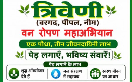 46.5° की तपिश से सबक : रतलाम में चलेगा 'त्रिवेणी वन रोपण महाअभियान' : बरगद-पीपल-नीम से गढ़ेंगे शीतल भविष्य