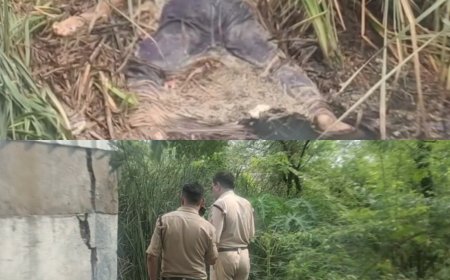इप्का गेस्ट हाउस के पीछे मिला अज्ञात व्यक्ति का शव : 3 दिन पुराना बताया जा रहा शव, पहचान नहीं होने से मौत का कारण भी रहस्य : जांच में जुटी पुलिस