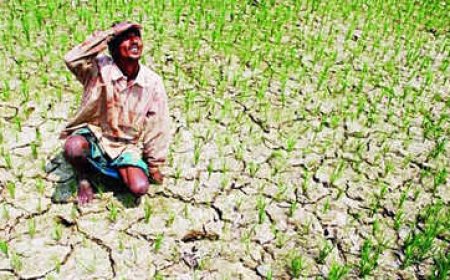 अलनीनो की मार : अलनीनो के प्रभाव से जिले में अल्पवर्षा और सूखे जैसी स्थिति बनने की आशंका : केंद्र ने रतलाम को अलनीनो प्रभावित जिला किया घोषित