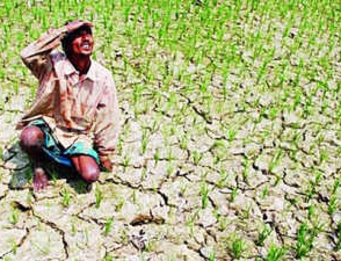 अलनीनो की मार : अलनीनो के प्रभाव से जिले में अल्पवर्षा और सूखे जैसी स्थिति बनने की आशंका : केंद्र ने रतलाम को अलनीनो प्रभावित जिला किया घोषित
