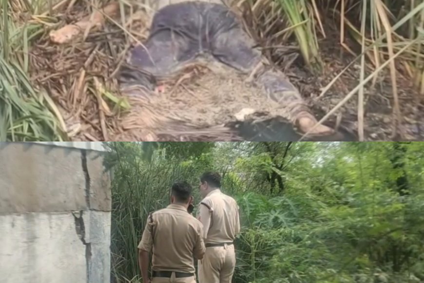 इप्का गेस्ट हाउस के पीछे मिला अज्ञात व्यक्ति का शव : 3 दिन पुराना बताया जा रहा शव, पहचान नहीं होने से मौत का कारण भी रहस्य : जांच में जुटी पुलिस