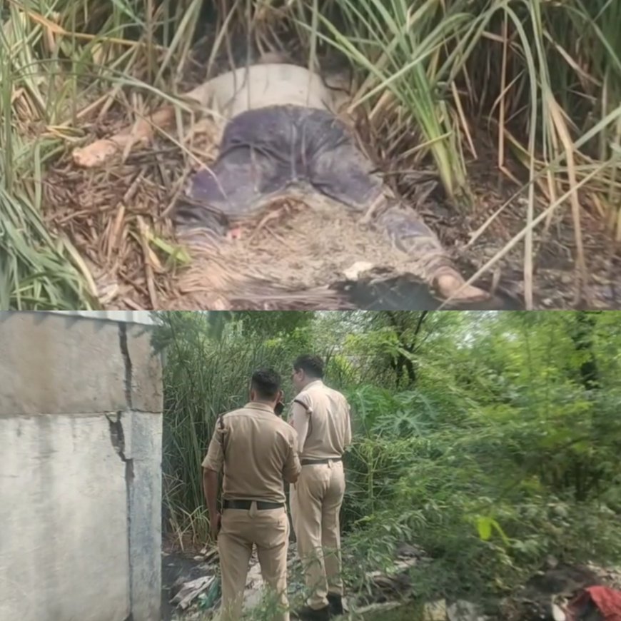 इप्का गेस्ट हाउस के पीछे मिला अज्ञात व्यक्ति का शव : 3 दिन पुराना बताया जा रहा शव, पहचान नहीं होने से मौत का कारण भी रहस्य : जांच में जुटी पुलिस