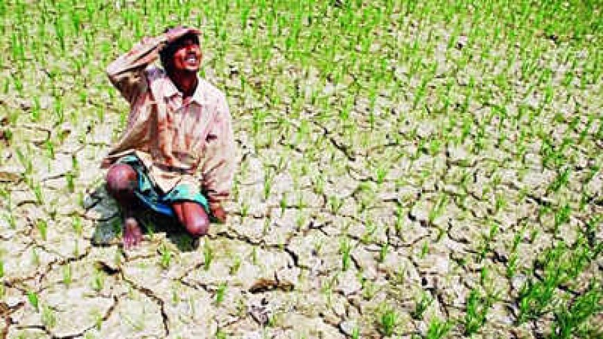 अलनीनो की मार : अलनीनो के प्रभाव से जिले में अल्पवर्षा और सूखे जैसी स्थिति बनने की आशंका : केंद्र ने रतलाम को अलनीनो प्रभावित जिला किया घोषित