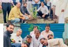 डीपी ग्रुप ने पौधारोपण कर संरक्षण का लिया संकल्प