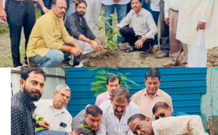 डीपी ग्रुप ने पौधारोपण कर संरक्षण का लिया संकल्प