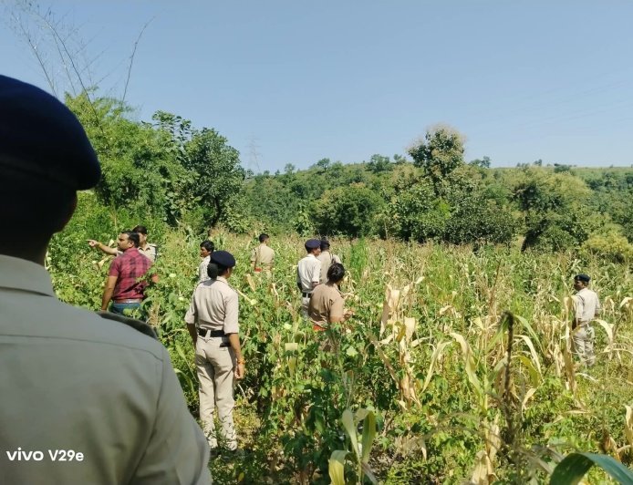 रतलाम : खेत में उगा रखा था गांजे का बगीचा: पुलिस ने 127 पौधे किए जब्त : 17 किलो से ज्यादा गांजा बरामद : दो आरोपी गिरफ्तार