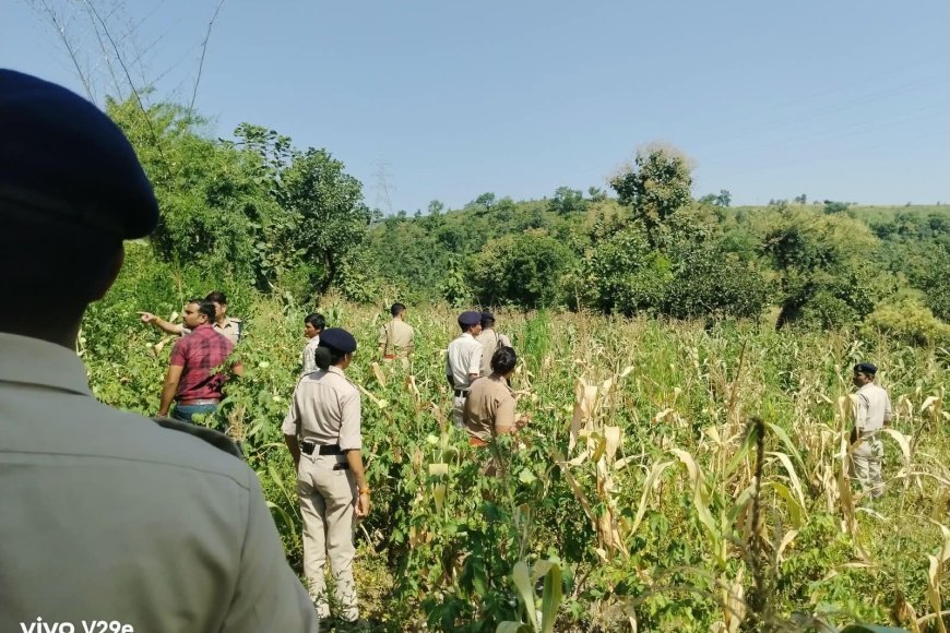 रतलाम : खेत में उगा रखा था गांजे का बगीचा: पुलिस ने 127 पौधे किए जब्त : 17 किलो से ज्यादा गांजा बरामद : दो आरोपी गिरफ्तार